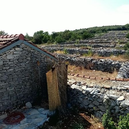 Pirate'S Nest Stone House Guest House Korcula Town Bilik gambar